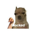Chihuahua 'Blocked' Meme Kiss-Cut Sticker
