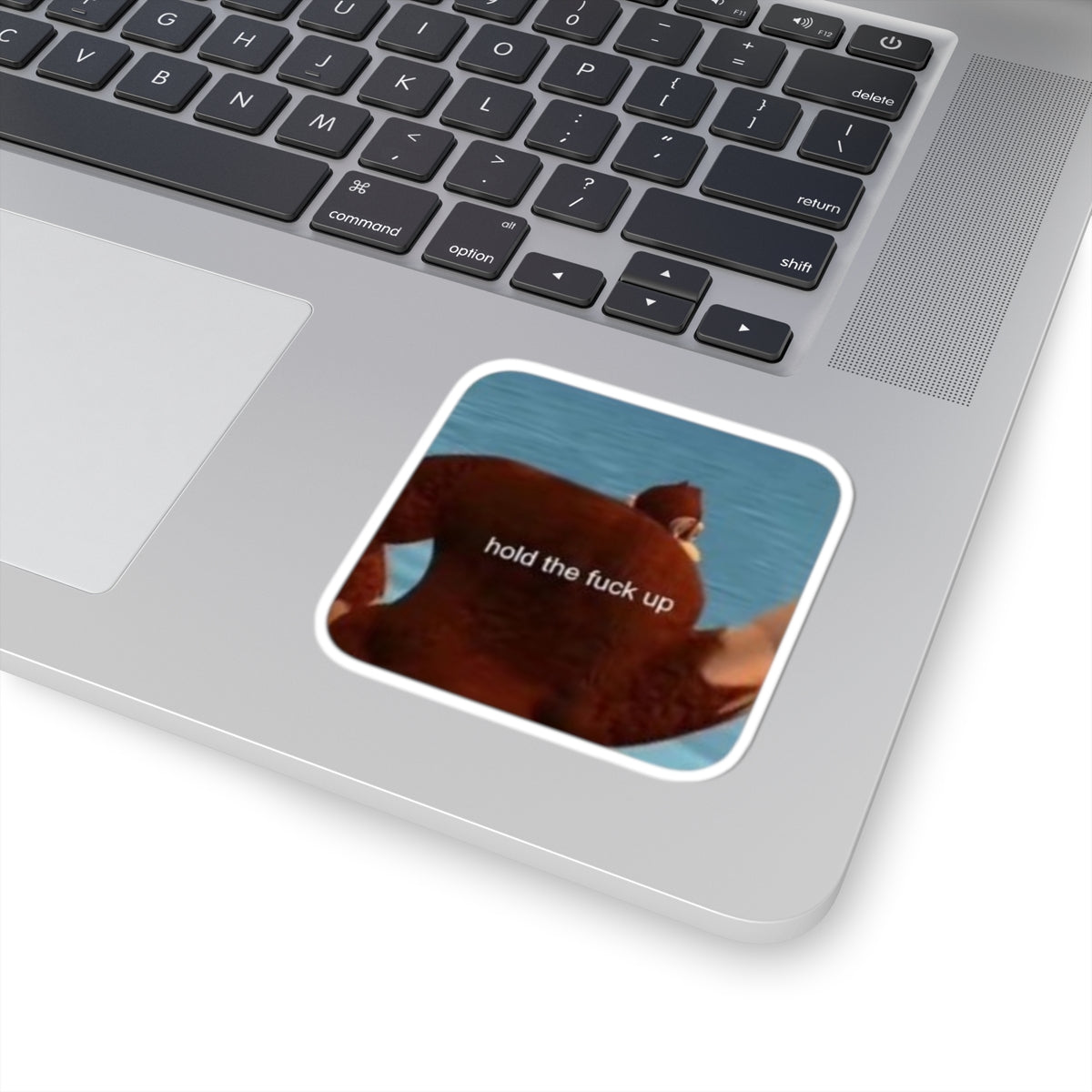 Funny 'Hold the Fuck Up' Monkey Sticker — Kiss-Cut Laptop & Water Bottle Decal