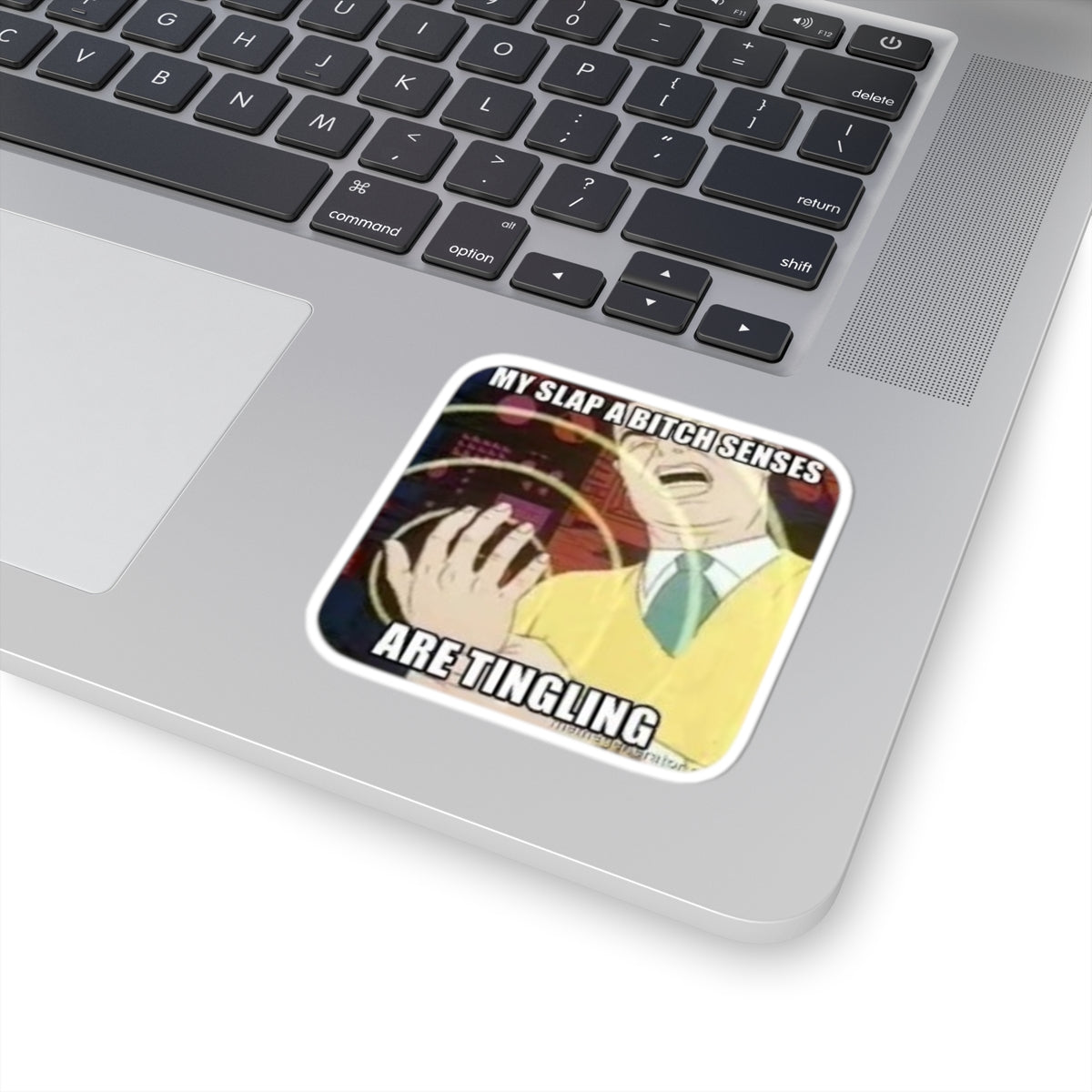 Funny Meme Sticker — “My Slap A Bitch Senses Are Tingling” Kiss-Cut Sticker