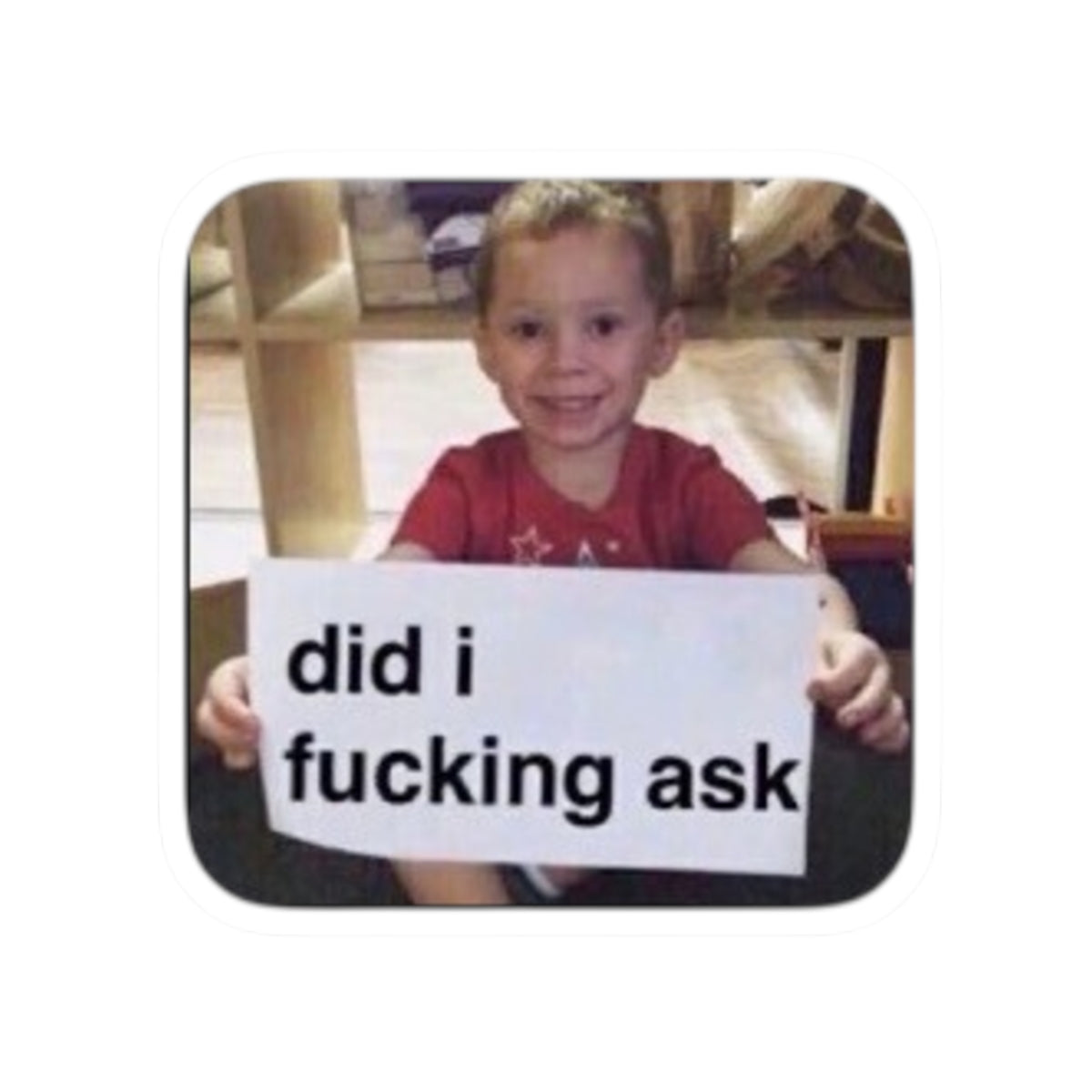 “did i fucking ask” Funny Sassy Vinyl Sticker