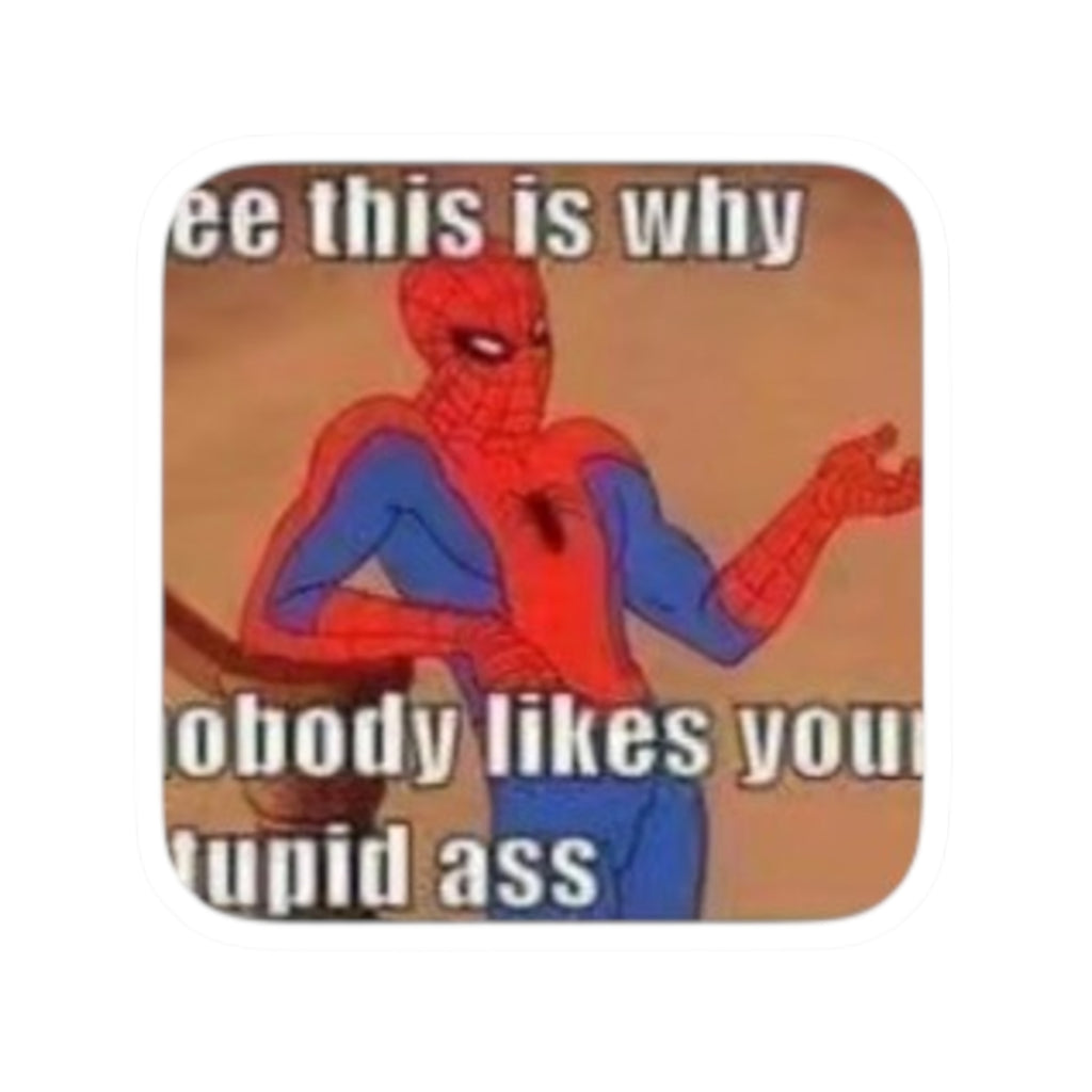 Funny Spider Meme “See This Is Why Nobody Likes You Stupid Ass” Sticker