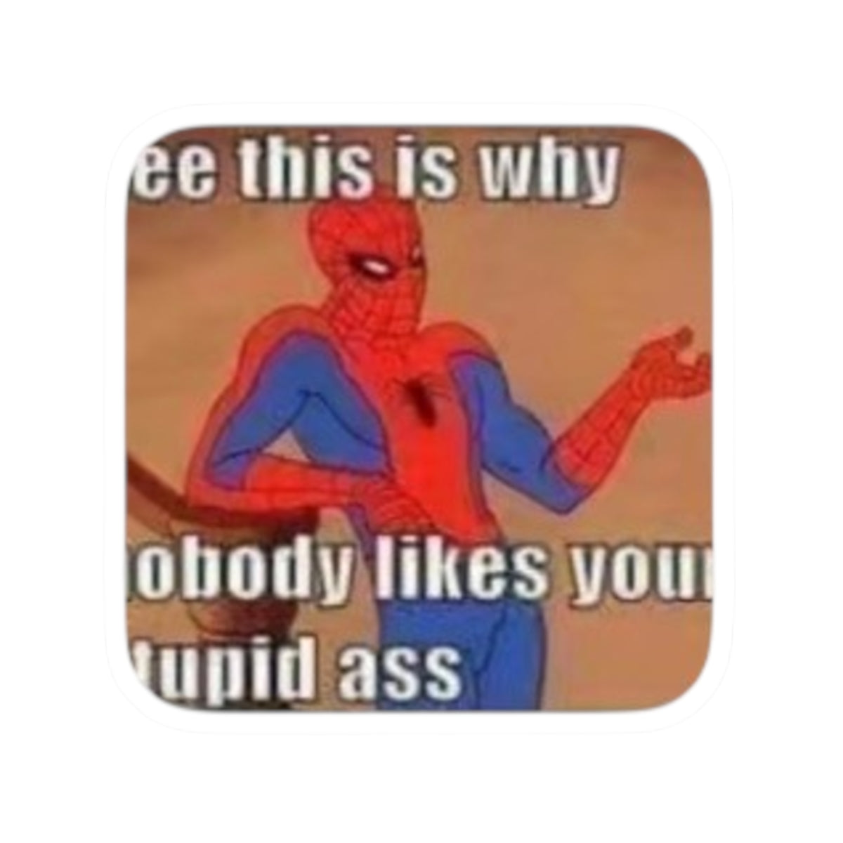 Funny Spider Meme “See This Is Why Nobody Likes You Stupid Ass” Sticker